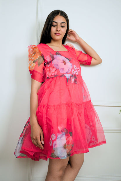 Pink Organza Dress